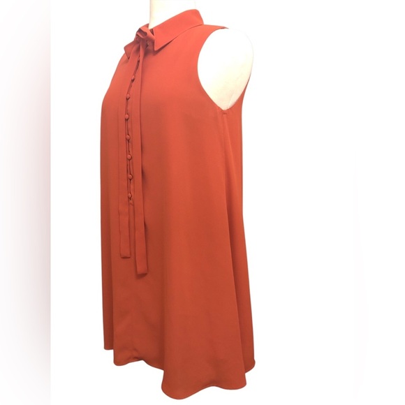 J.O.A. Los Angeles Tambourine Dream Rust Orange Swing Trapeze Dress - Picture 4 of 9